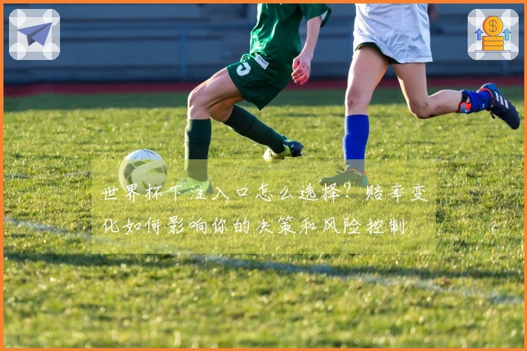 世界杯下注入口怎么选择?赔率变化如何影响你的决策和风险控制