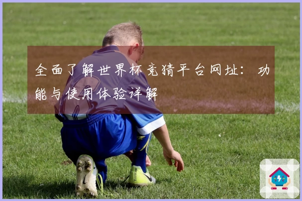 全面了解世界杯竞猜平台网址：功能与使用体验详解