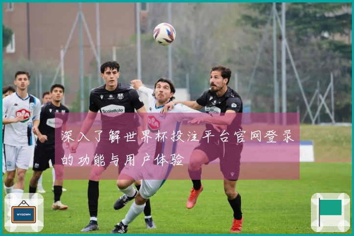 深入了解世界杯投注平台官网登录的功能与用户体验