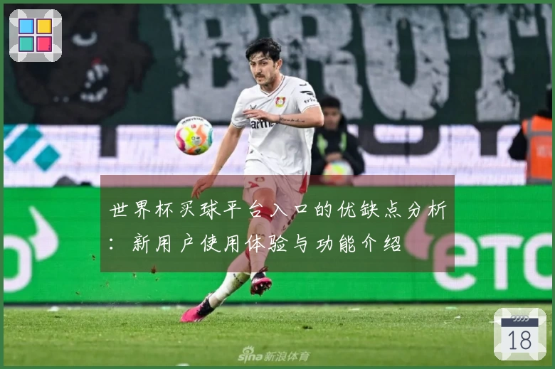 世界杯买球平台入口的优缺点分析：新用户使用体验与功能介绍