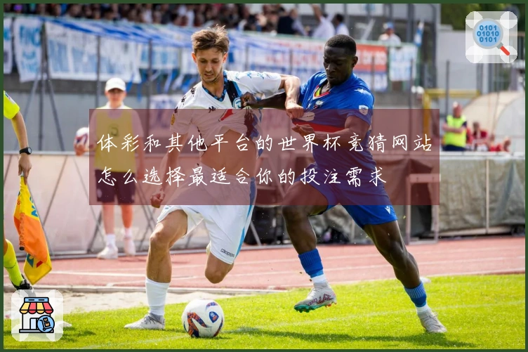 体彩和其他平台的世界杯竞猜网站怎么选择最适合你的投注需求