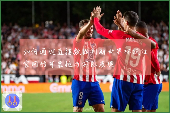 如何通过直播数据判断世界杯投注官网的可靠性与实际表现
