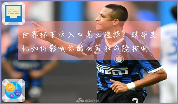 世界杯下注入口怎么选择？赔率变化如何影响你的决策和风险控制