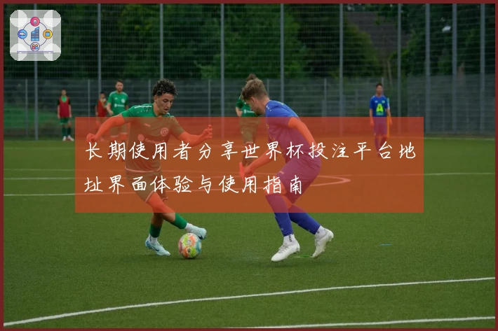 长期使用者分享世界杯投注平台地址界面体验与使用指南