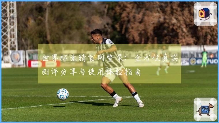 世界杯竞猜官网登录：全方位真实测评分享与使用体验指南