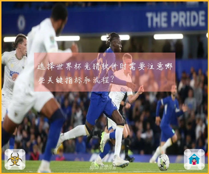 选择世界杯竞猜软件时需要注意哪些关键指标和流程?
