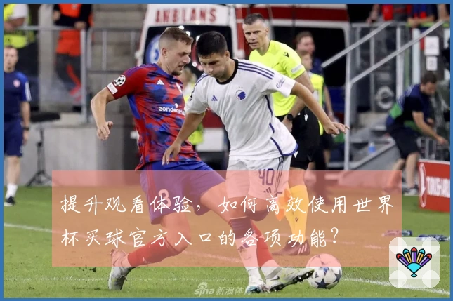 提升观看体验，如何高效使用世界杯买球官方入口的各项功能？