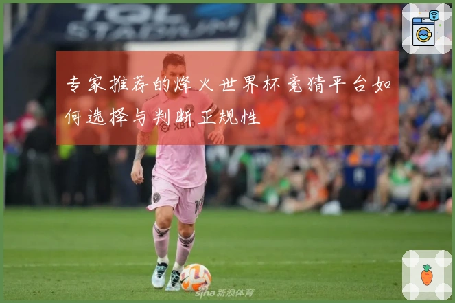 专家推荐的烽火世界杯竞猜平台如何选择与判断正规性