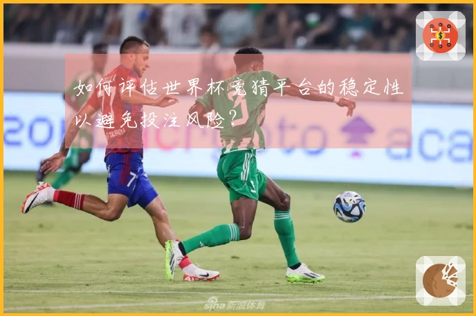 如何评估世界杯竞猜平台的稳定性以避免投注风险？