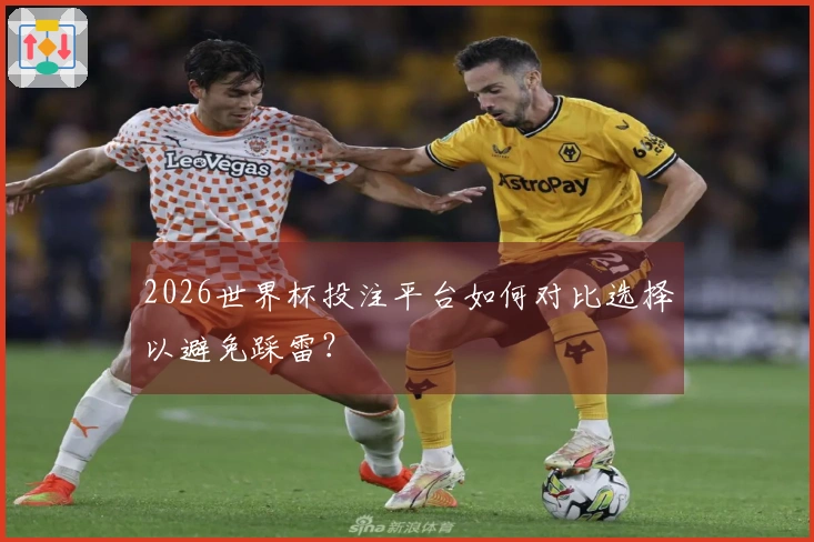 2026世界杯投注平台如何对比选择以避免踩雷?