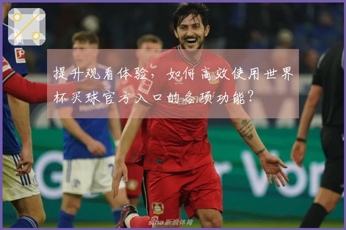提升观看体验，如何高效使用世界杯买球官方入口的各项功能？