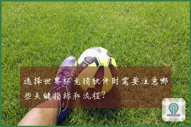 选择世界杯竞猜软件时需要注意哪些关键指标和流程？
