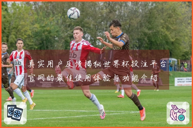 真实用户反馈揭秘世界杯投注平台官网的最佳使用体验与功能介绍