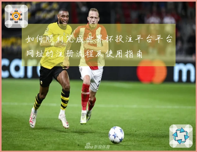 如何顺利完成世界杯投注平台平台网址的注册流程及使用指南