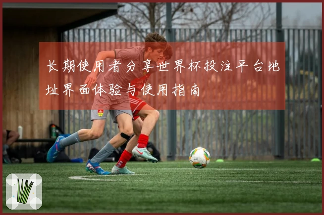 长期使用者分享世界杯投注平台地址界面体验与使用指南