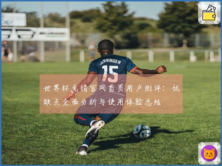 世界杯竞猜官网首页用户测评：优缺点全面分析与使用体验总结